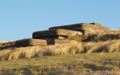 Bunkers in de duinen